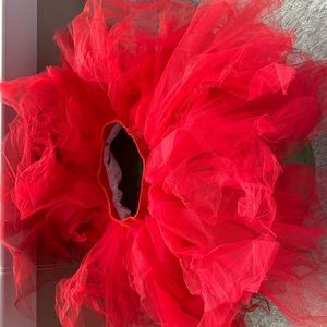 Red Tutu/Devil Costume
